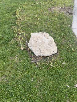 Decorative Rocks