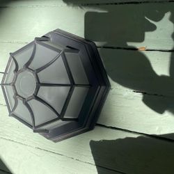 Outdoor Ceiling Light