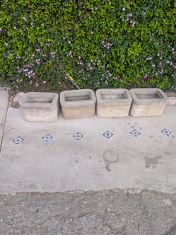 Cement planter boxes