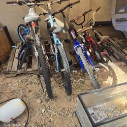 6 Bicycles,  3 Kids And 3 Adult