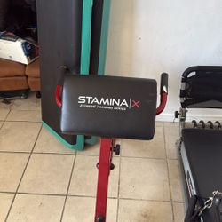 2 Step And Abdominal Machine 