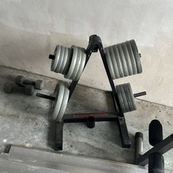 Metal Gym Plates & Weider Plate Holder