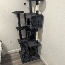 Cat Tree