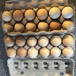 Huevos Organicos - Organic Eggs 