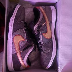 SB Dunks Beijing