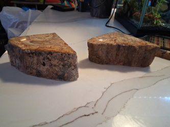 Pair of Genuine Indonesian Petrified Wood Fossil Display Pieces – 2 Pieces
Two natural petrified wood specimens from Indonesia, formed millions of yea