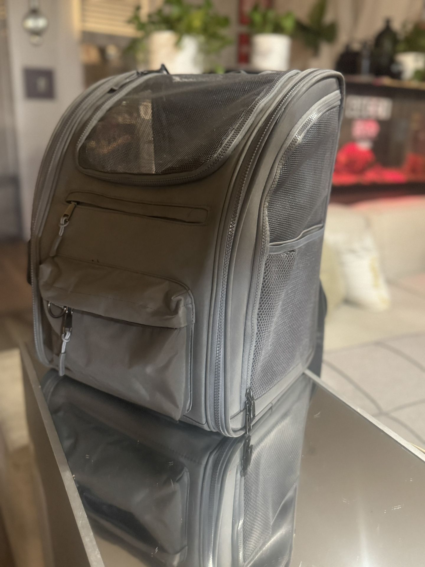 Brand New Top Paw Functional All-Day Pet Carrier / Backpack