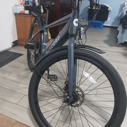 Electric bike Concord 