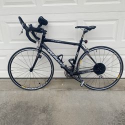 Specialized Roubaix Comp Road Bike Carbon Fiber
