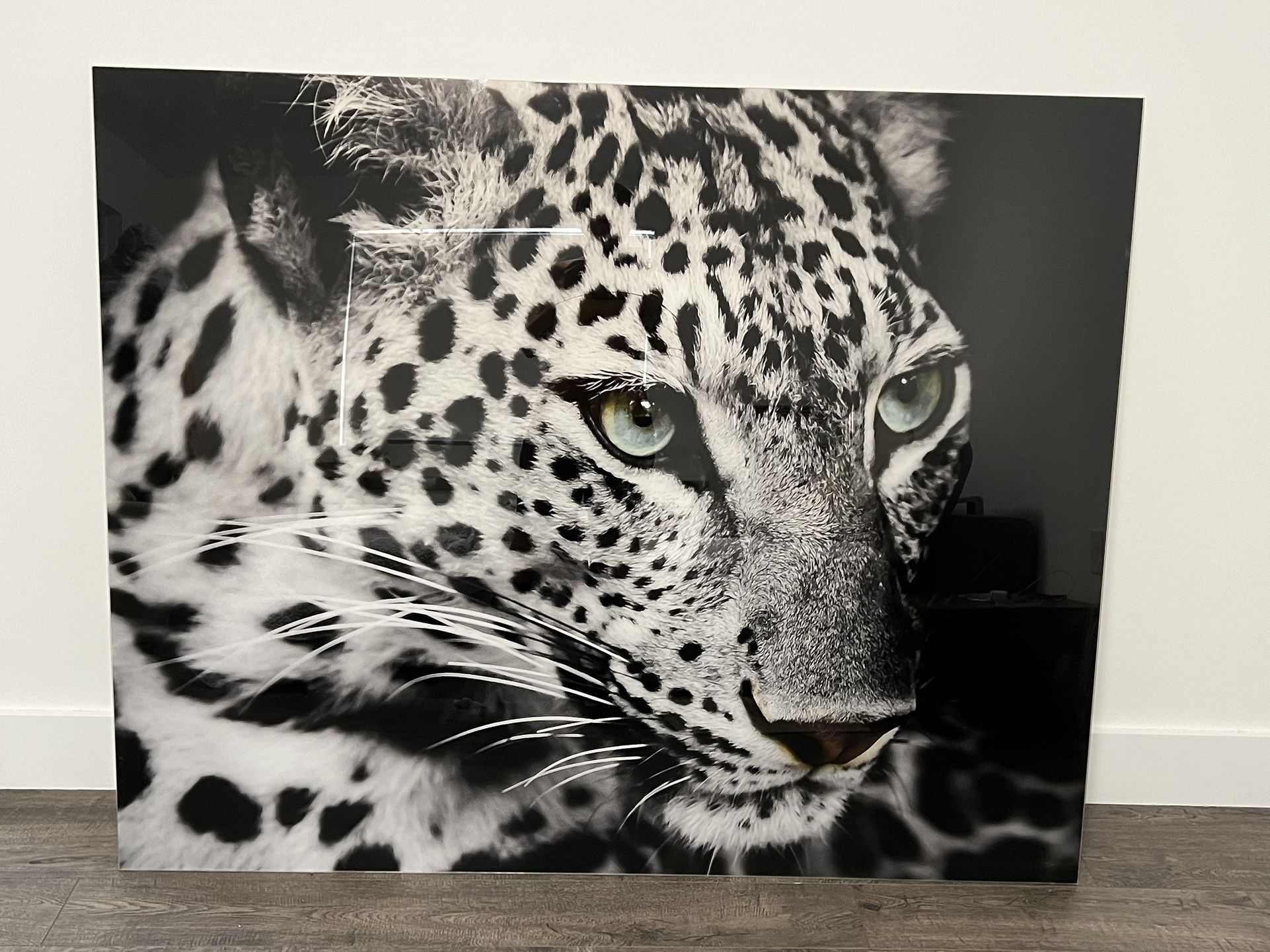 Wall Art - Acrylic artwork no frame W: 60" x H: 48"or W: 72" x H: 32"