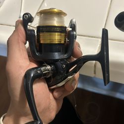 daiwaa fishing reel