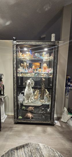 Lighted Display Glass Cabinet
