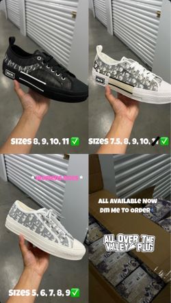 Dior B23s Low Top