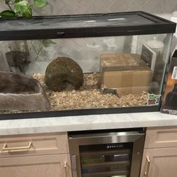 50 gallon terrarium with accessories, lights corner rock & moss Hide 