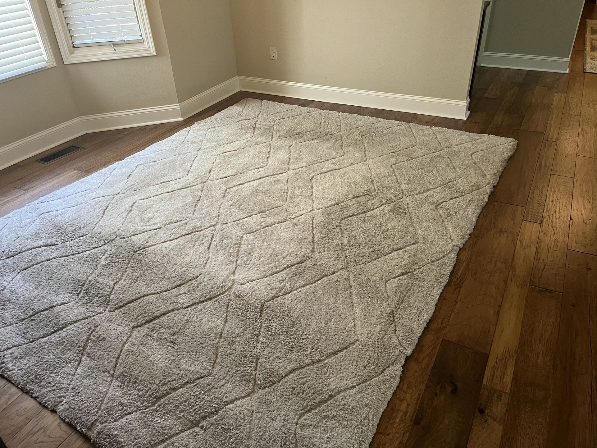 Cream Area Rug 7’10” X10’ $50