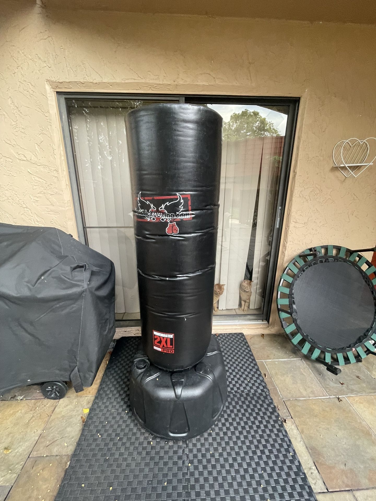 punching bag (kickboxing-boxing-mma)