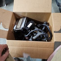 Mustang Conplete Wiring Harness And Computers