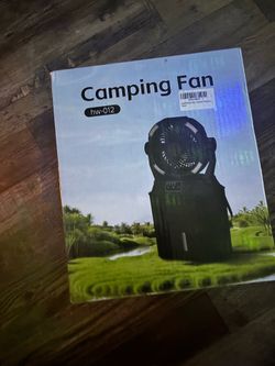 Electric fan with mist