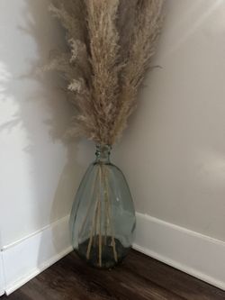 Pampas grass with vase