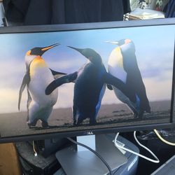 MONITOR FOR PC COMPUTER DELL 23” RUNS GREAT LOOK !