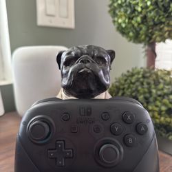 Nintendo Switch Pro Controller 