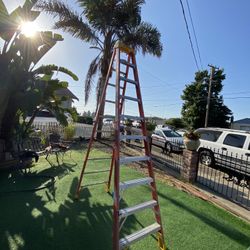 10 Ft Werner Ladder 300lb Capacity  $100 Obo