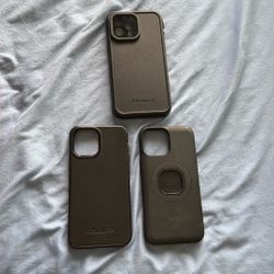 iPhone 13 Pro Max Phone Case 