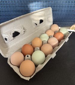 Fresh Eggs - $10 per dozen