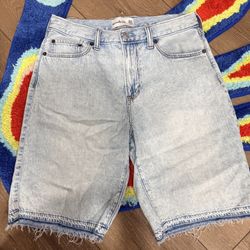Blue Light Washed Dennis Jorts Distressed Bottoms 