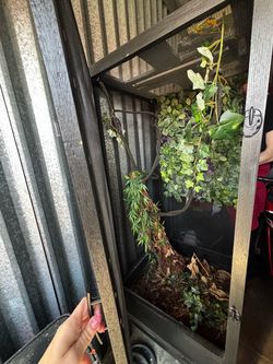 Custom Wood and Fiberglass Reptile Enclosure