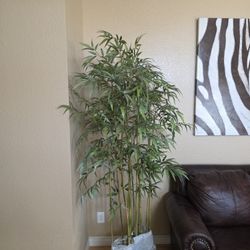 Large Artifical Bamboo Plant ( 6 Feet Plus ).