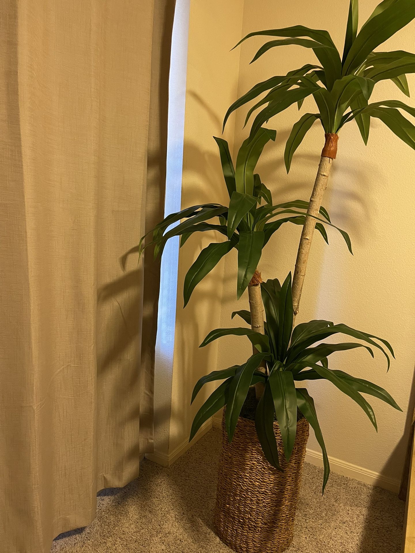 Tall Fake plant