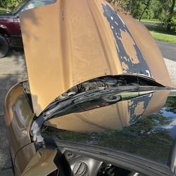 Real Factory Trans Am Ws6 Hood For Sale