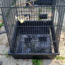Bird Cage