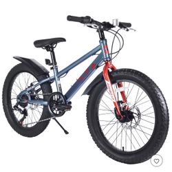 20 Inch Fat Tire Bike For Kids