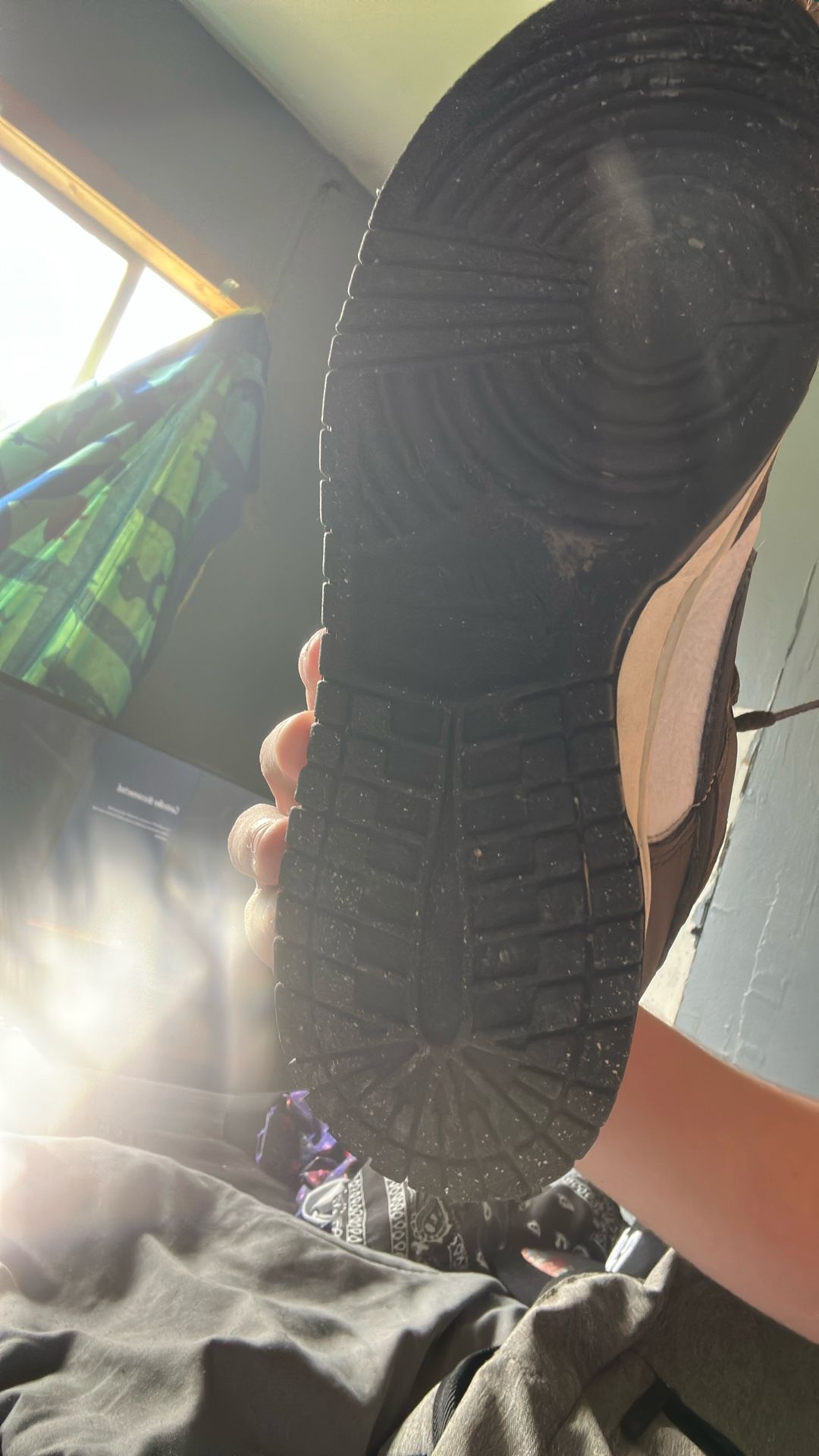 Nike Dunks