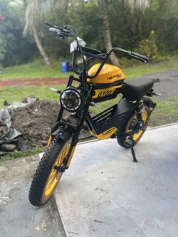 Brand new Long Range Fat Tire E-bike