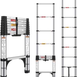 Telescoping Ladder