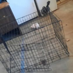 2 Kennels 1 Thirty Six In. And 1 Seventeen In.