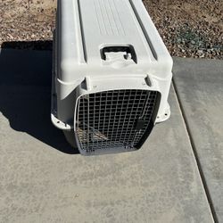 Dog Kennel 