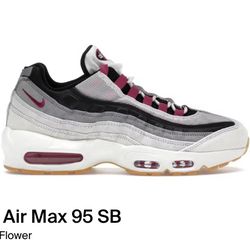 Nike Air Max 95 SB Cactus Flower Size 10M