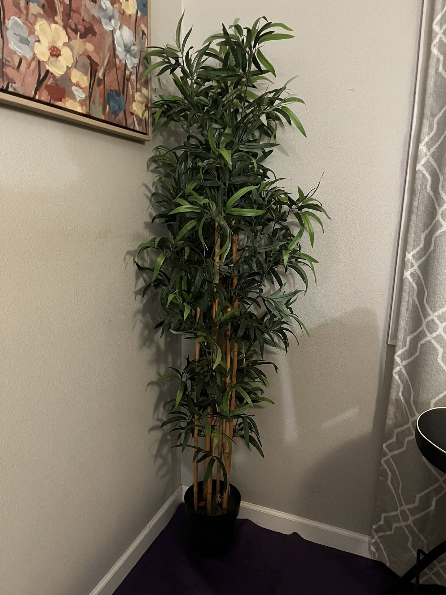 5 Ft Tall Bamboo Furnishing Plant IKEA