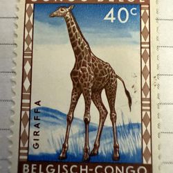 1959 Congo Giraffe Stamp