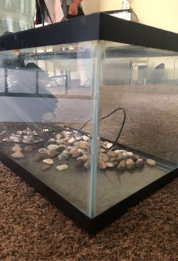 20gal turtle/fish tank Thumbnail