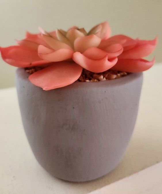 Artificial Cactus Plant