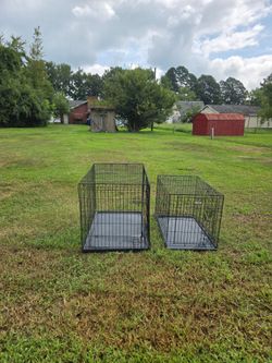 Two Black Wire Dog Crates with Trays