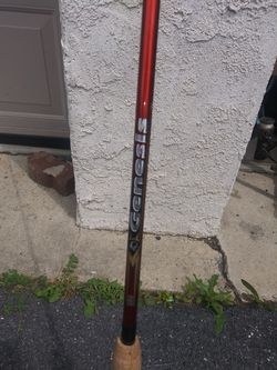 Genesis Zebco Rod / great condition