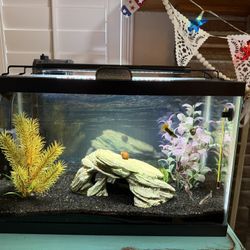 Complete 5 gallon aquarium set up. Very good condition.