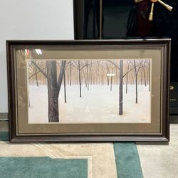 Framed wall art 28“ x 45”