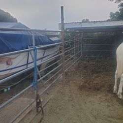 24 FT Panel Horse  (5-Rail) $200 Each 